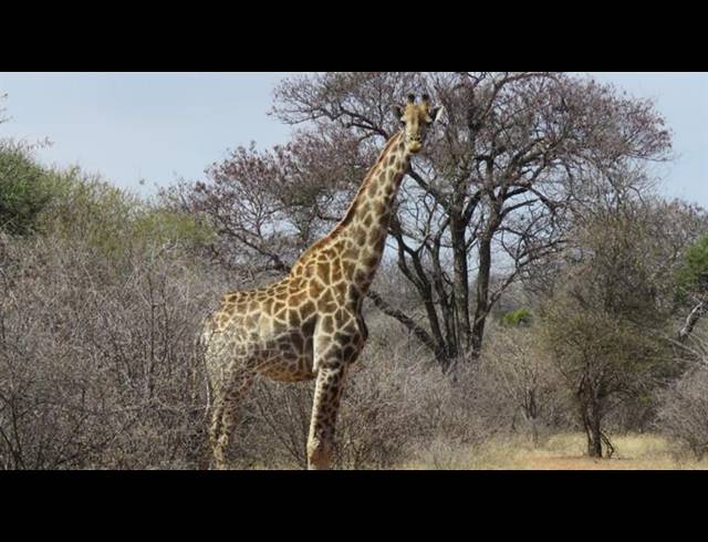 FARM FOR SALE IN BALTIMORE